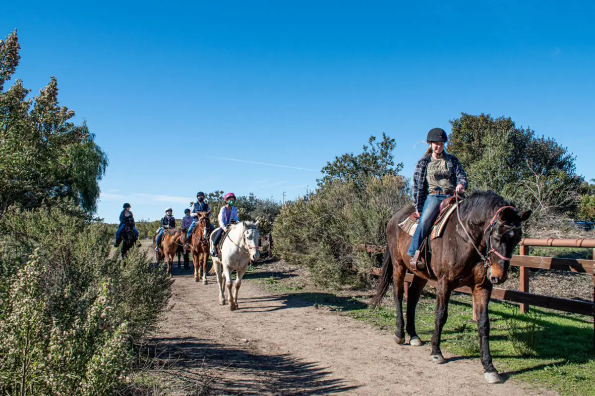 Horseback riding