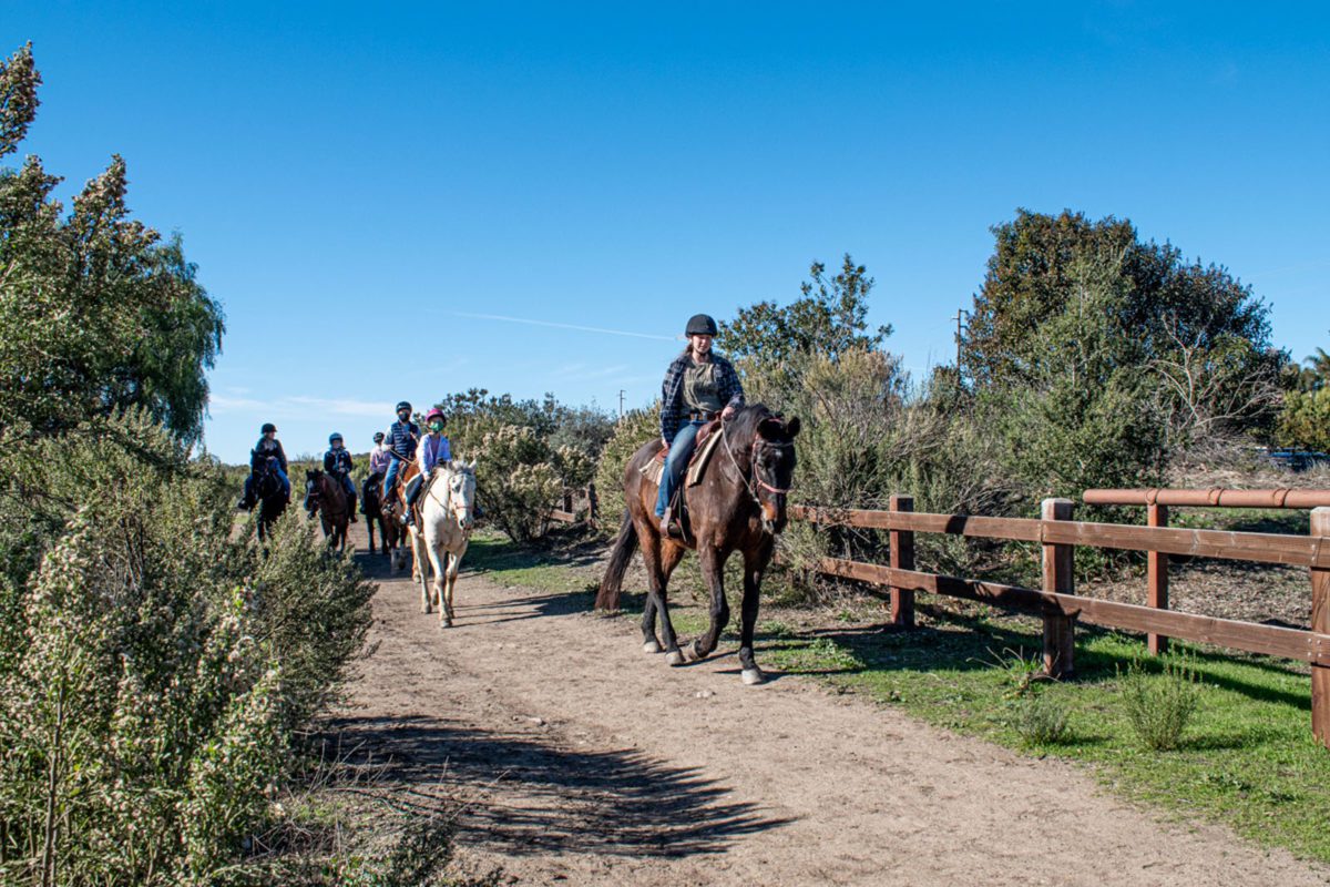 Horseback riding dos Vientos